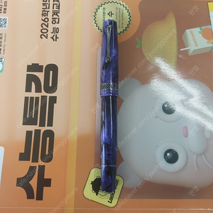 만년필 2자루