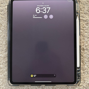 Apple 정품 2024 아이패드 프로 13 M4칩 스탠다드 글래스 Wi-Fi