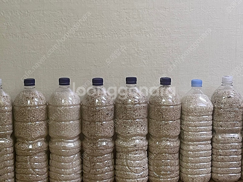 쌀 판매합니다 [잡곡 및 찹쌀]--0