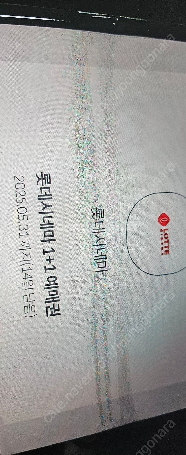 롯데시네마 31일까지 사용가능 1+1쿠폰--0