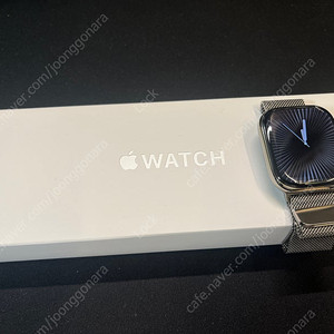 애플워치 10 셀룰러 46mm 내추럴 티타늄 + 밀레니즈 루프 S/M + 애플케어플러스