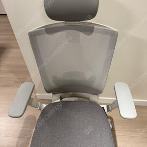 시디즈 T50 HLDA 화이트 그레이