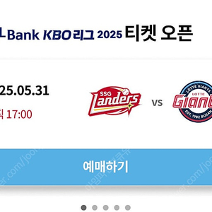 5/31 토요일 롯데vs ssg 중앙탁자석 2연석 삽닌다