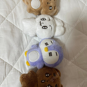 뽀바투