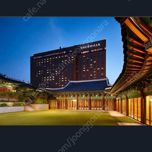 서울신라호텔 비지니스 딜럭스 숙박 라운지 조식 석식 아프터눈 티, 어번 아일랜드 포함