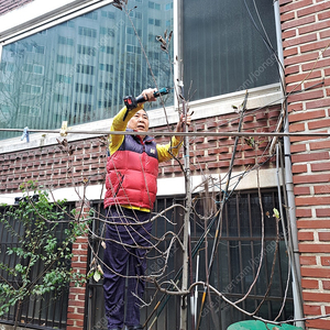 전동 전지가위
