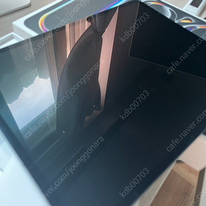 아이패드 프로 m4 13 512 셀룰러