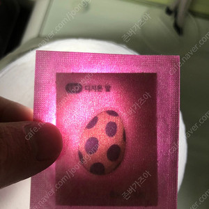 디지몬 야광 187번 디지몬알 띠부씰 미개봉 판매