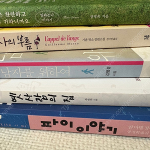 소설(파이이야기, 옛사람의집, 남자를위하여, 천사의부름, 햇빛은찬란하고인생은귀하니까요)