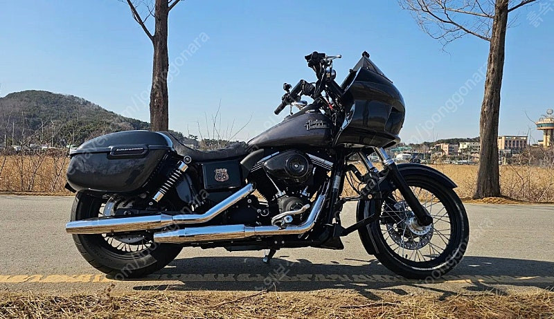 할리데이비슨 다이나스트리트밥클럽스타일 2016--3