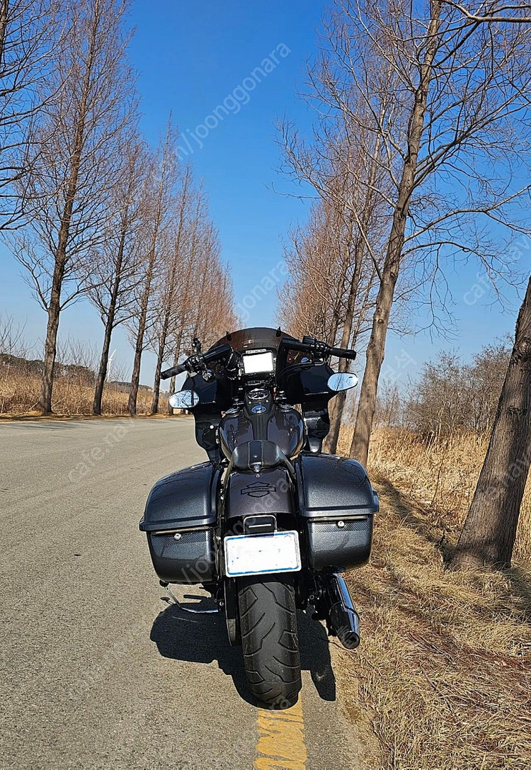 할리데이비슨 다이나스트리트밥클럽스타일 2016--5