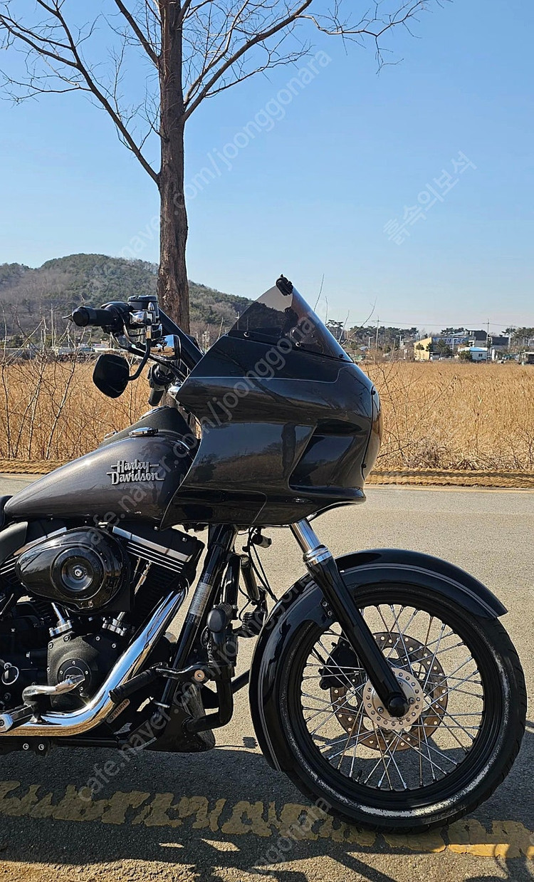 할리데이비슨 다이나스트리트밥클럽스타일 2016--6