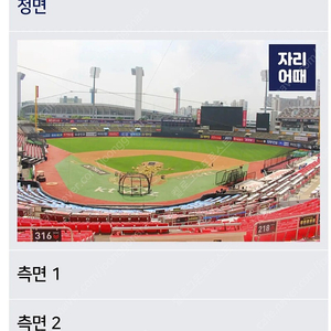 6월1일 (일) 기아 kt 중앙지정석 315구역 8열 2연석