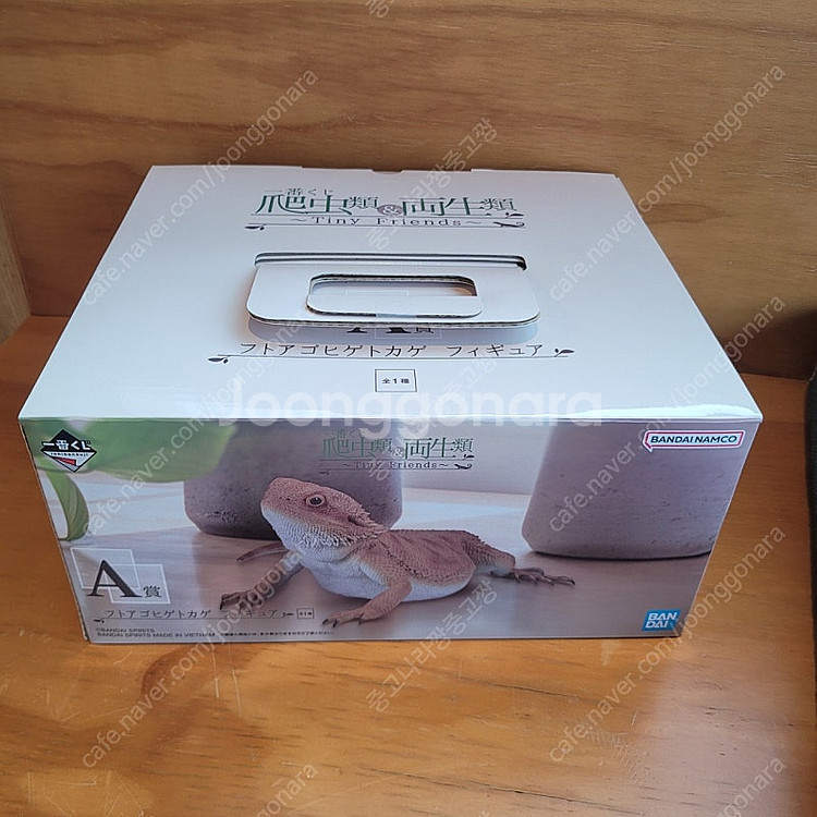 파충류 제일복권 이치방쿠지 양서류 A상 비어디 드래곤 ...--0