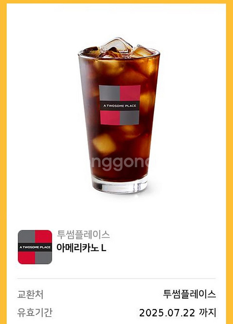 투썸플레이스 아메리카노 L--0