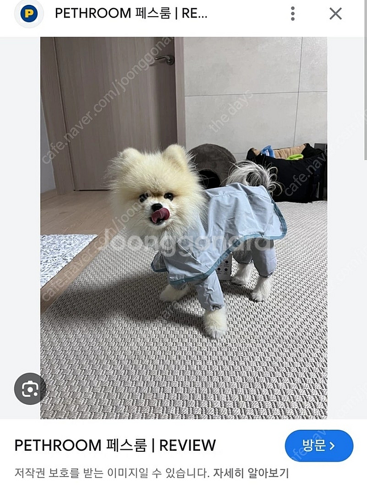pethroom 풀커버 레인코트--0