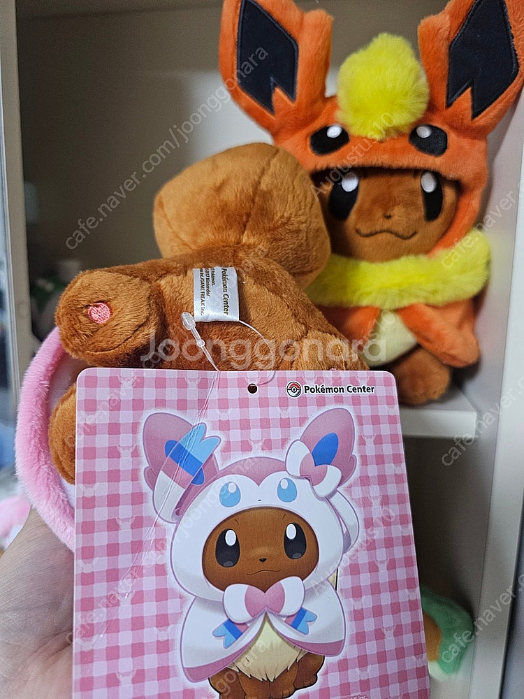 판쵸 이브이 인형 세트(8종) 일괄--1