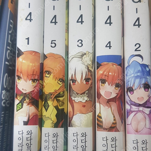 라이트노벨 big