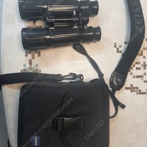 짜이스 디얄리트 t*p* 7×42 쌍안경