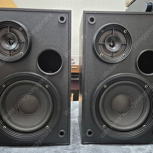 BOSE 북셀프 스피커