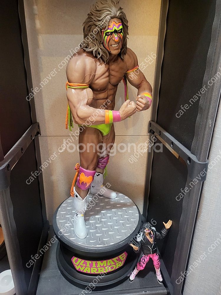 PCS 사이드쇼 WWF WWE 워리어 마초맨 판매합니다--2