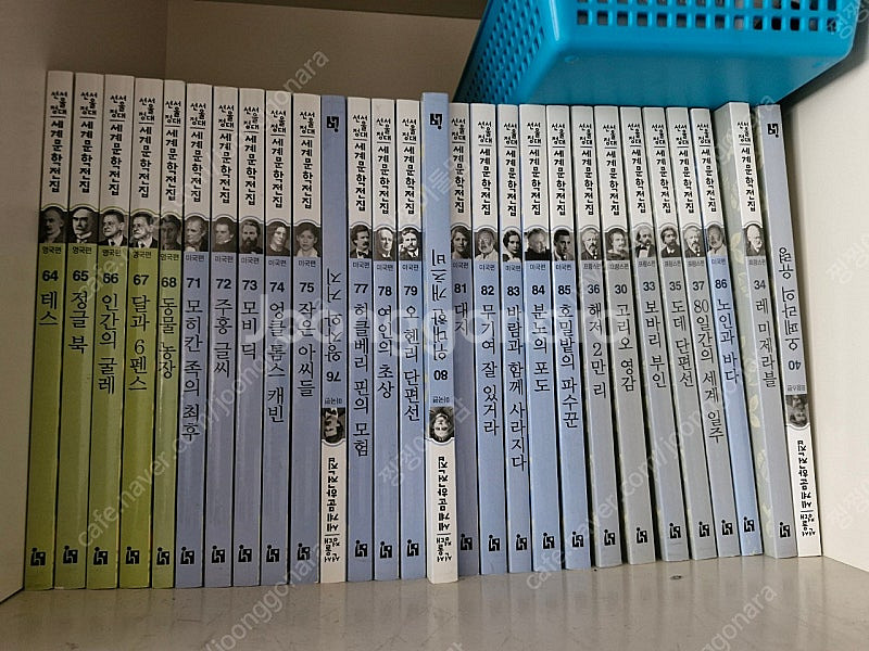 서울대 세계문학전집100--2
