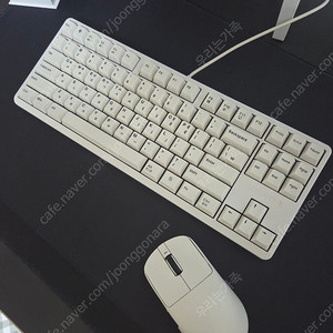 체리 키보드 g80-3000