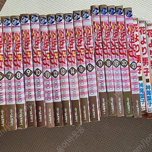 꽃보다남자 花より男子 만화책한국판 일본판