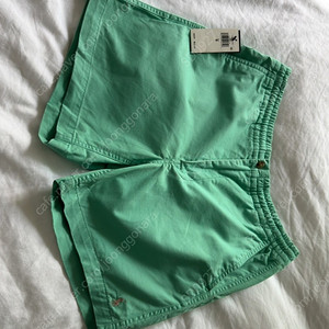 폴로 프렙스터 그린 베이지 S