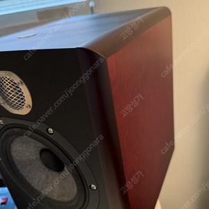 focal solo6be 포칼 솔로 식스비 모니터스피커 팝니다