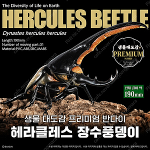 반다이 생물대도감 프리미엄 헤라클레스 장수풍뎅이 카톤미개봉 팝니다