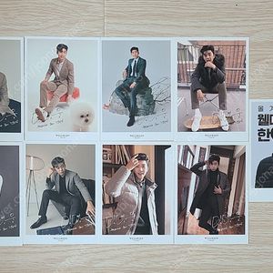 임영웅 웰메이드 포토카드 9장 일괄