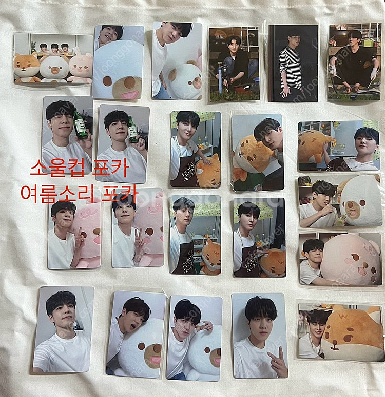 데이식스 포카 일괄 양도합니다--2