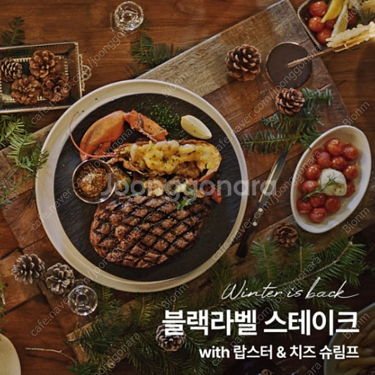 아웃백 25% 할인 모바일 쿠폰--0