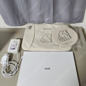 LG 그램 프로 2025 17인치 노트북 (17Z90TP-GA5JK) + 노르디스크 파우치, 마우스 패드. 무선마우스 미개봉