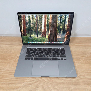 [애플] 2019 맥북프로 16인치 i7/32G/512G/라데온Pro5300M 스그 MVVJ2KH/A