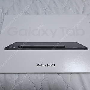 새상품급) 갤럭시탭 S9 256GB 256