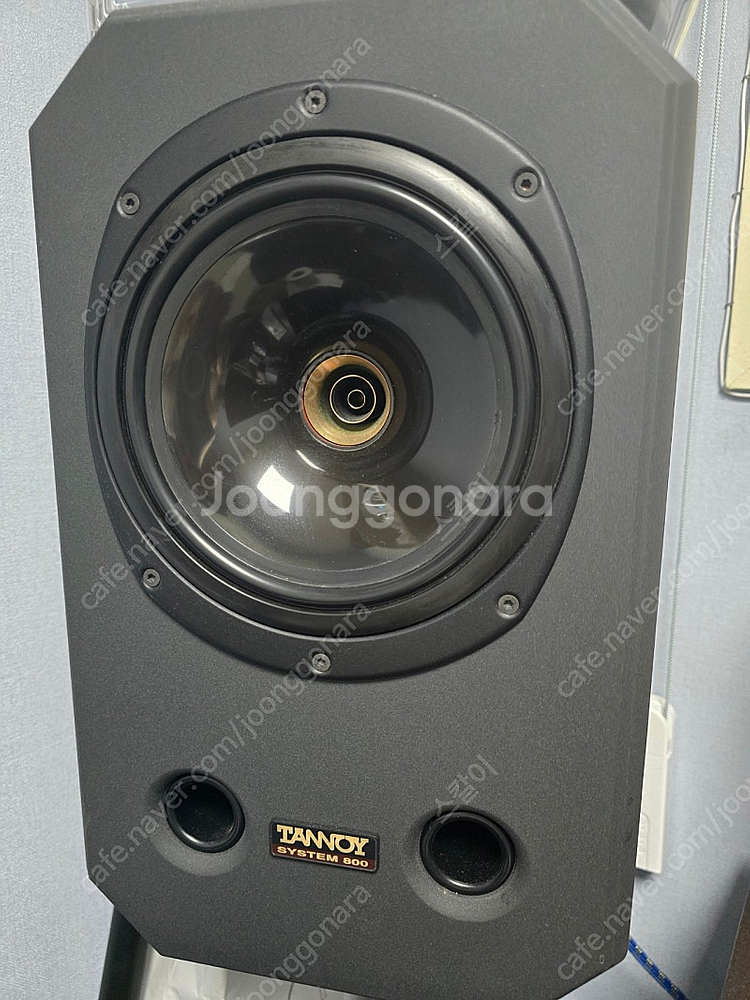 탄노이 시스템800--0