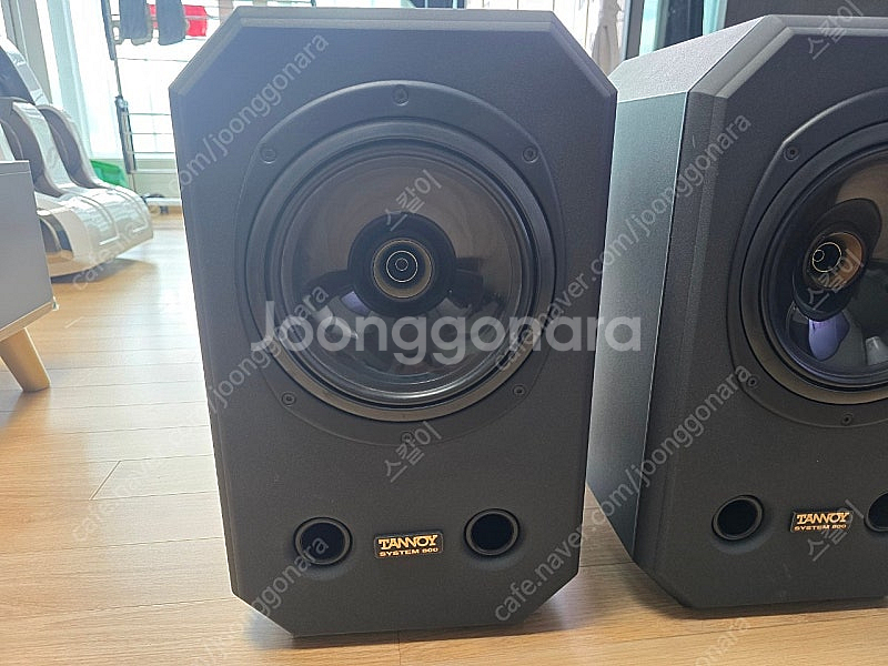 탄노이 시스템800--4