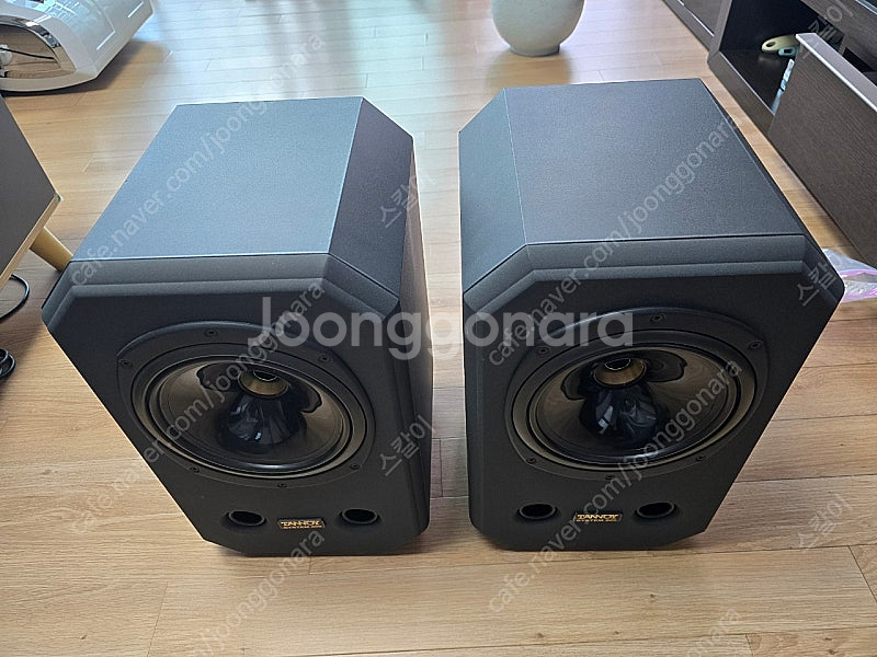 탄노이 시스템800--6