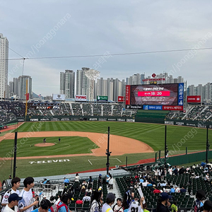 6/1 사직 롯데 vs SSG 중앙탁자,응원탁자 4연석 구매합니다 +@