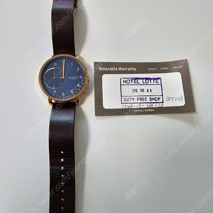 스카겐 SKT1103 SKAGEN 웨어러블 아날로그 시계