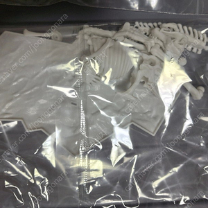 라이맥스 티라노사우루스 프라노사우루스 벨로키랍토르
