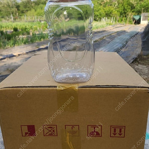 꿀벌화분병 12개입X3박스