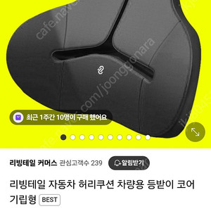 리빙테일 자동차 메모리폼 허리쿠션