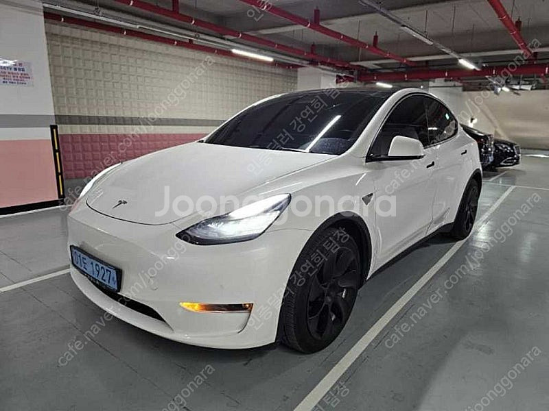 테슬라 모델 Y 중고차 모델Y 흰색 2021년식 47,...--0