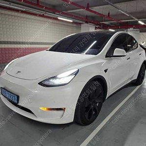 테슬라 모델 Y 중고차 모델Y 흰색 2021년식 47,083km 롱 레인지 중고자동차