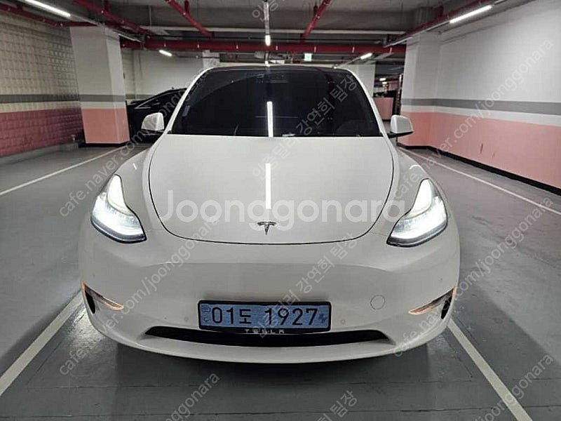테슬라 모델 Y 중고차 모델Y 흰색 2021년식 47,...--2
