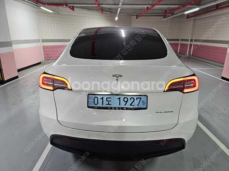 테슬라 모델 Y 중고차 모델Y 흰색 2021년식 47,...--4