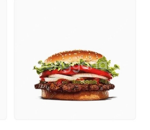 버거킹 와퍼 단품--0